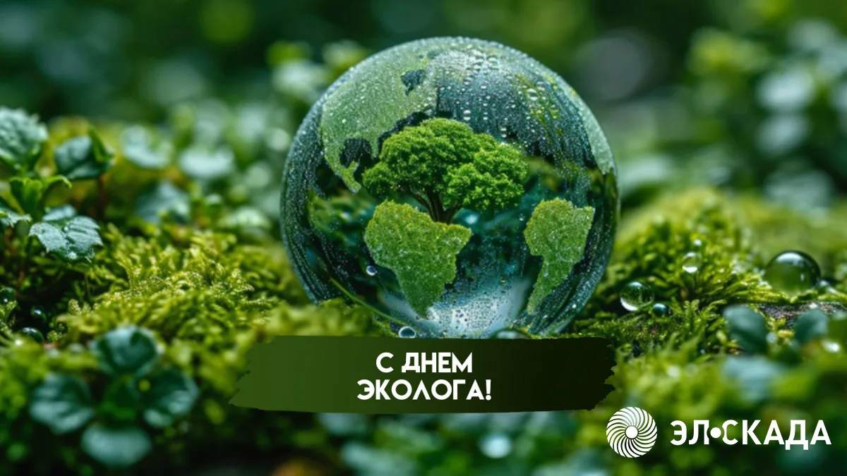 Коллеги! С Днем эколога! 🌿