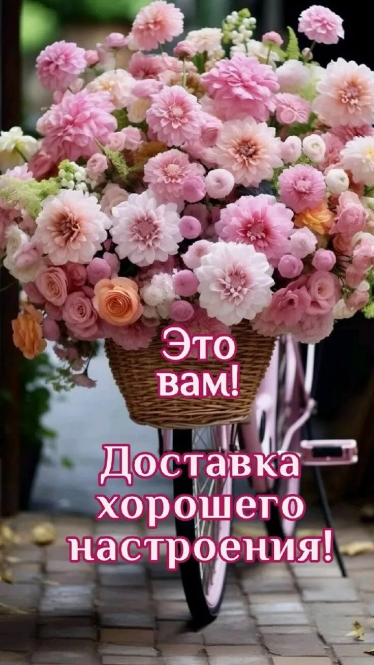 Подпишись 👇