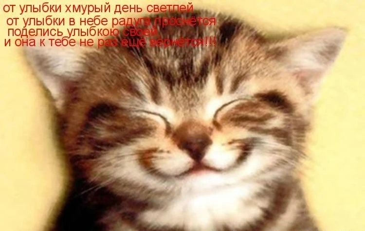 🌞 День улыбки: пусть среда станет светлее!