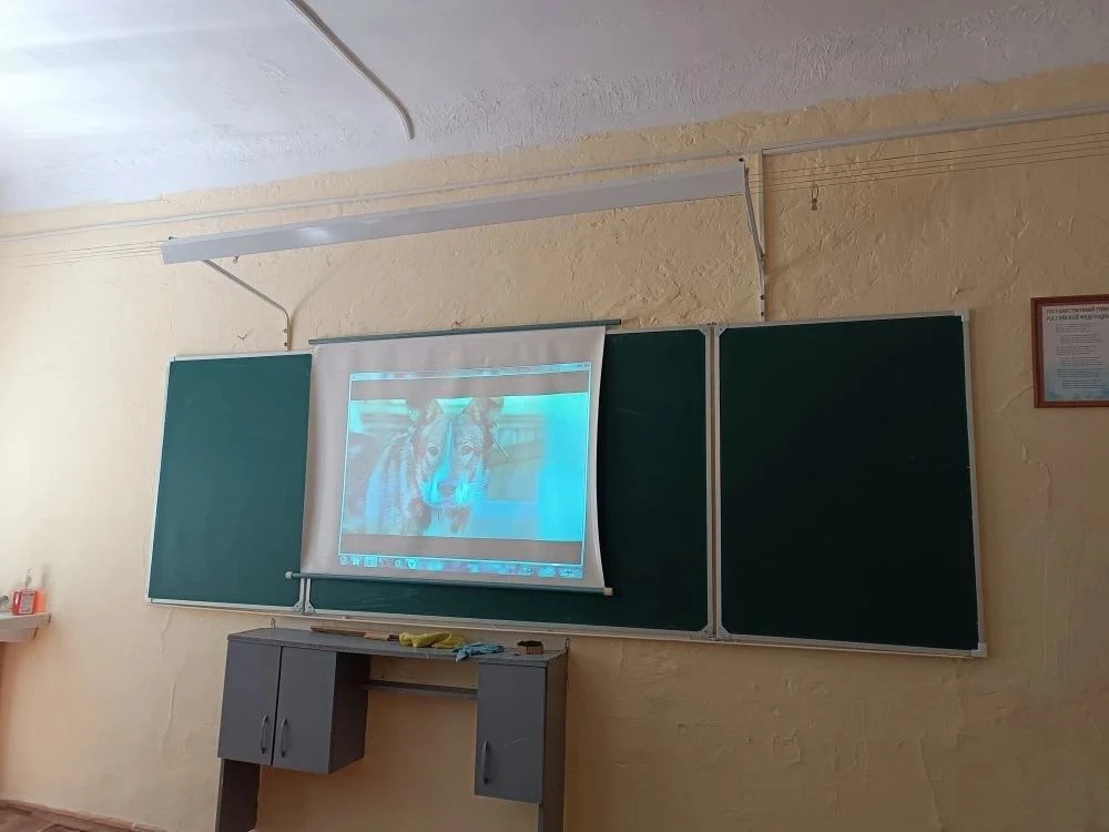В рамках воспитательной работы прошли киноуроки «Первое дело» для учащихся 5‑го и 1‑го классов.
Ребя