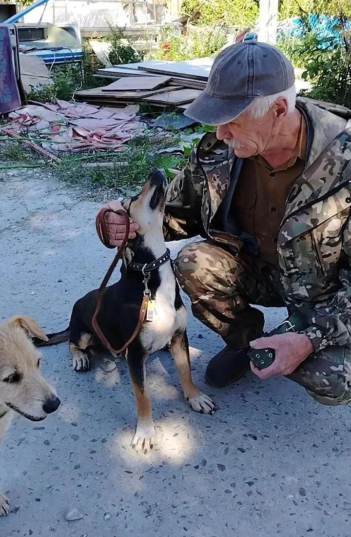 Пес Лёлик, которого около трех месяцев назад нашли на Кадоше, обрел хозяев. Теперь он б...