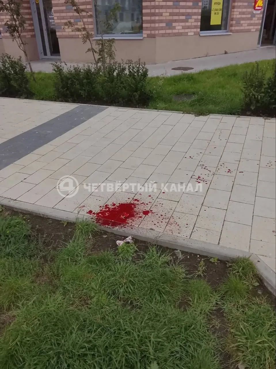 В Екатеринбурге мужчина избил курьера, который сбил его собаку. По словам местной жител...