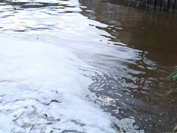 🌊 На набережной Новикова-Прибоя заметили мутную воду с пеной