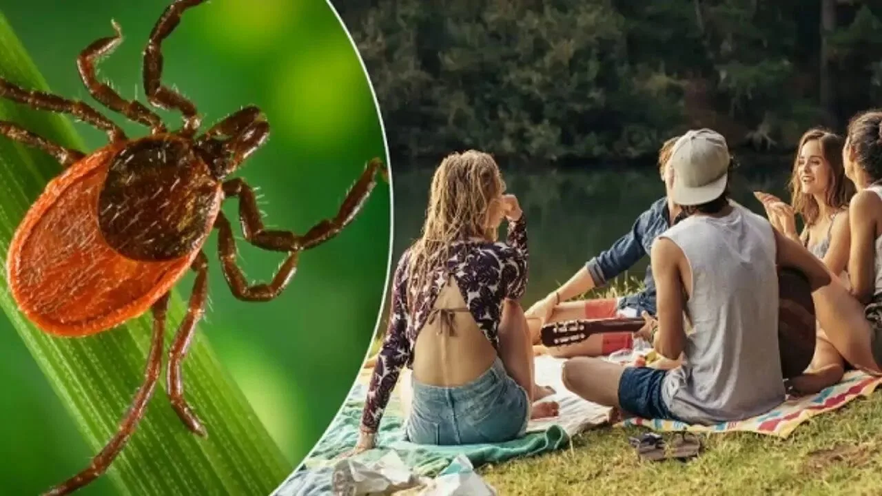 Выходные на природе обернулись укусами клещей? Напоминаем, что прием насекомых осуществ...