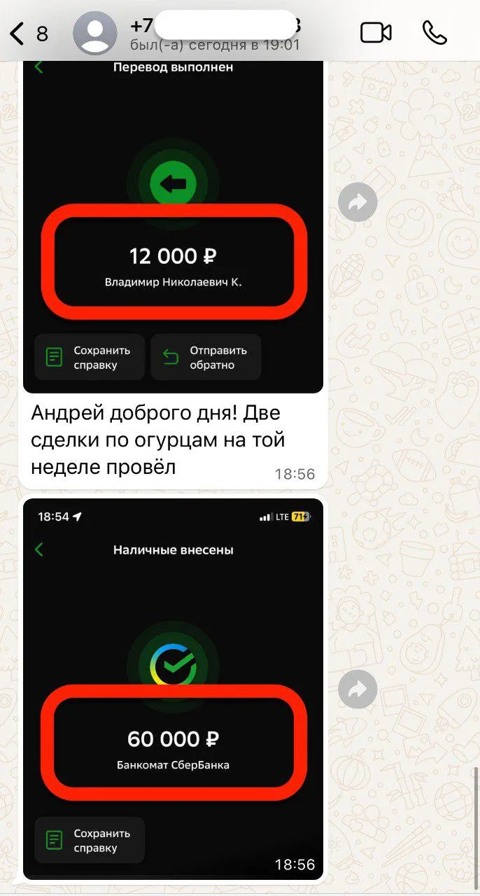 🥒 72 ТЫС ЗА НЕДЕЛЮ НА ОГУРЦАХ 🥒