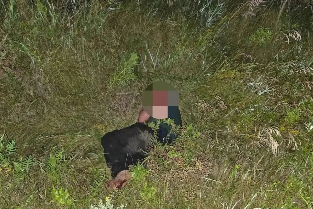 В Тюменской области пьяная поездка с другом обернулась трагедией