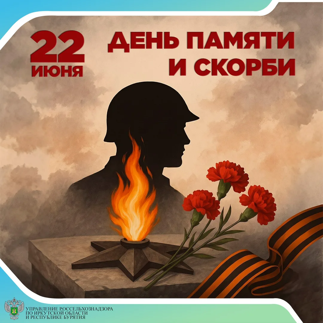 22 июня 1941 года началась Великая Отечественная война, ставшая самой кровавой и разрушительной в ис