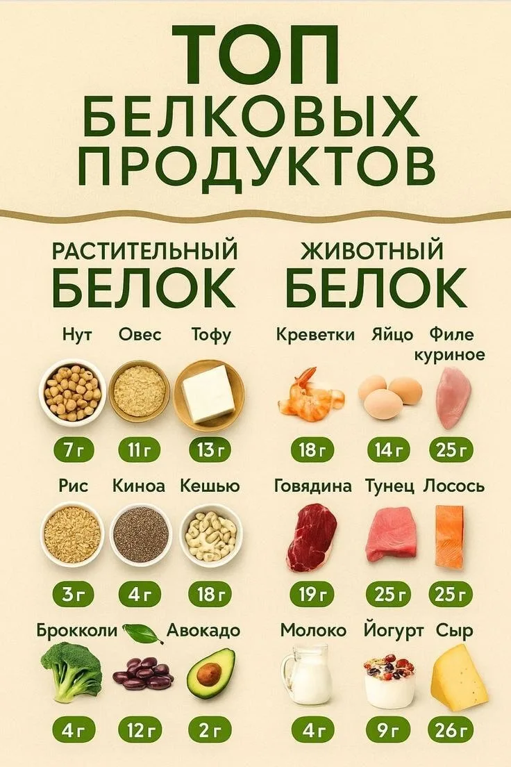 Топ белковых продуктов для стройности и энергии ✔️