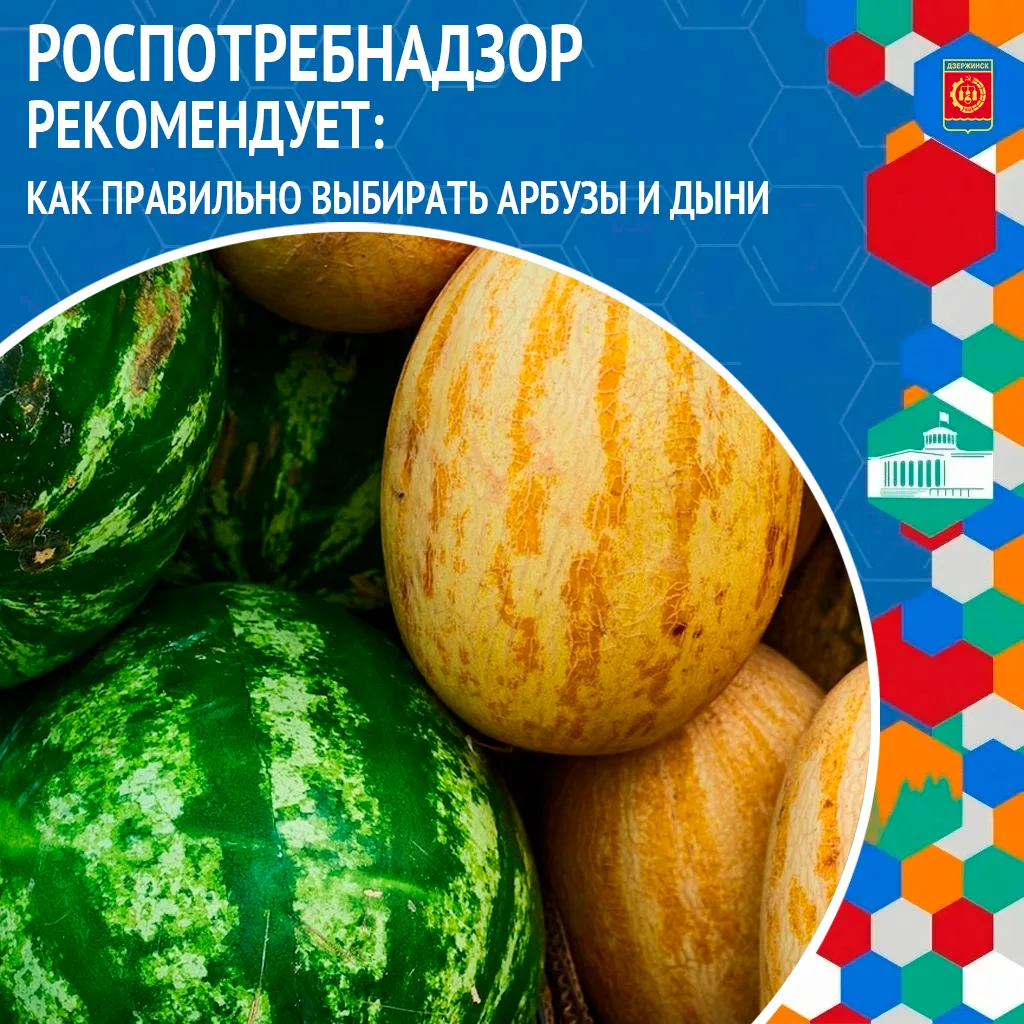 Сезон бахчевых культур начался. Чтобы купить качественные и безопасные арбузы и дыни, с...