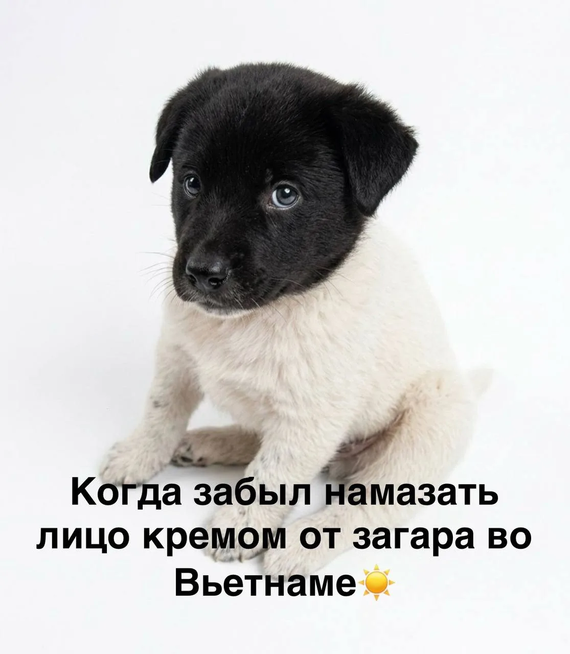 Вьетнам 🇻🇳 из Новокузнецка