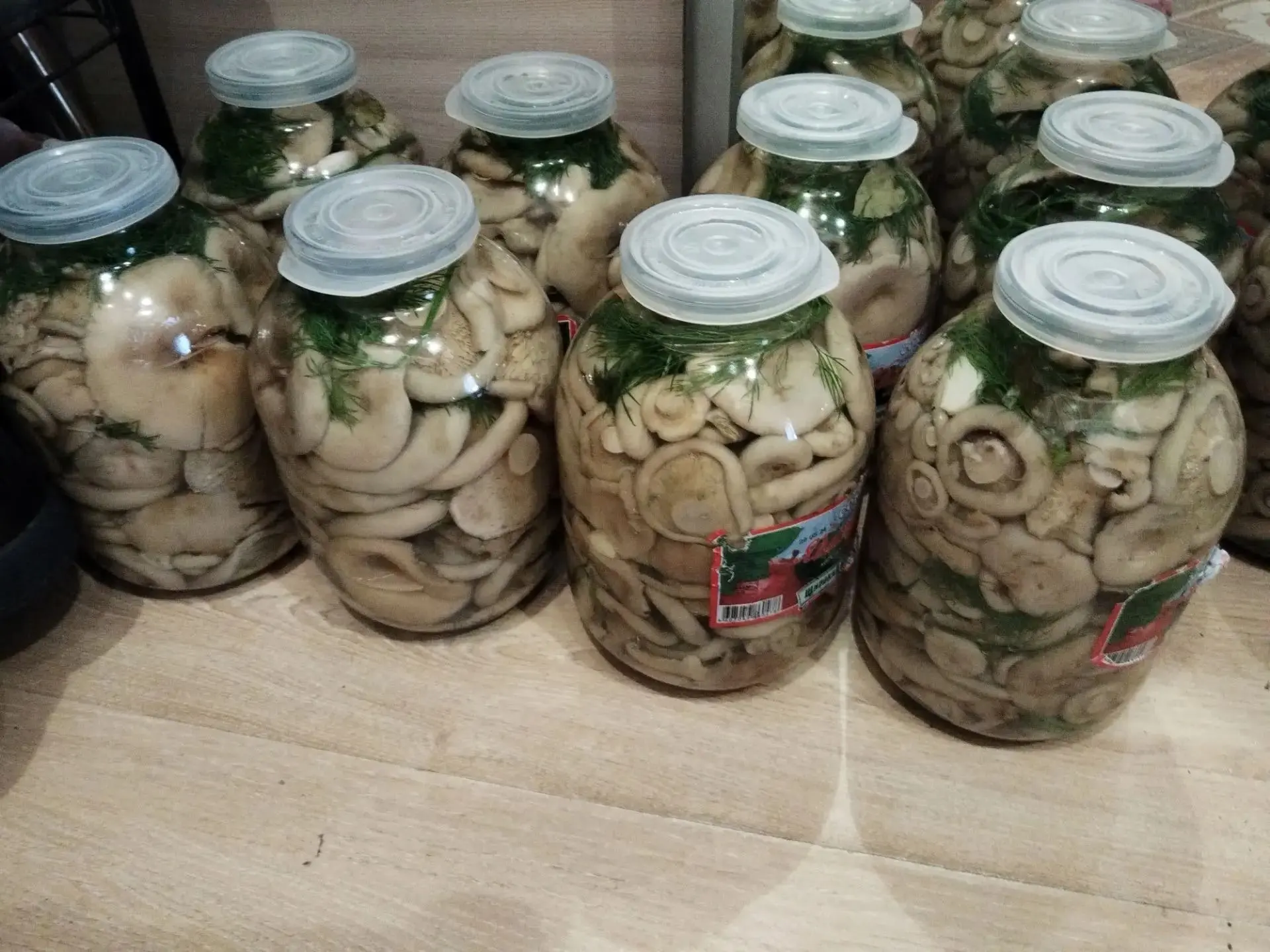 Продам белые грузди горячий посол , хрустящие очень вкусные , есть опт цена за 3 литровую банку 3500
