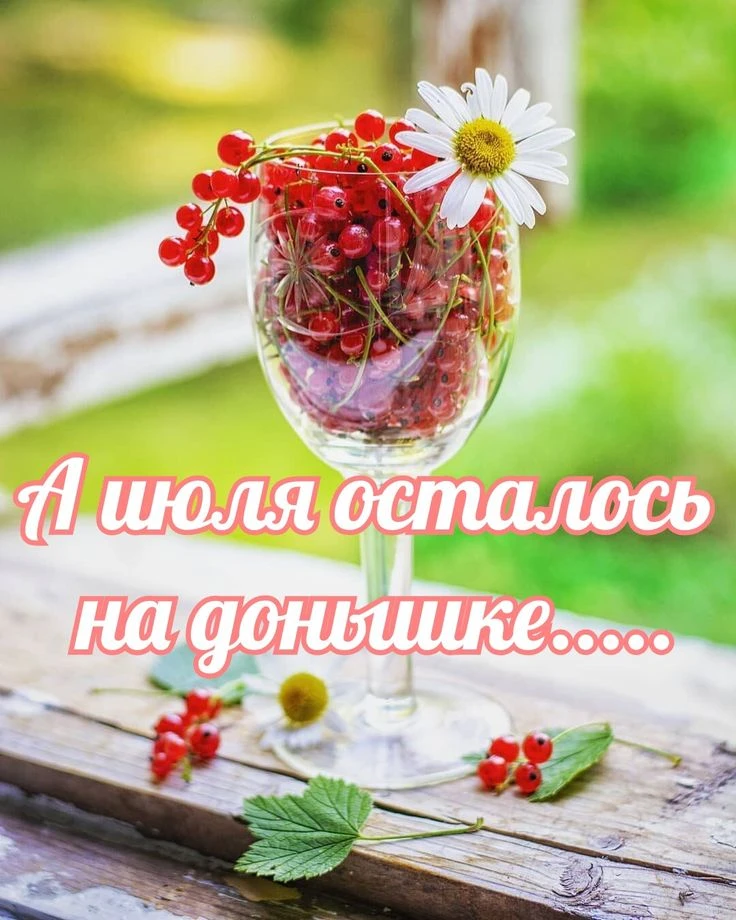 Доброго дня!. 
Провожаем сегодня июль!. 
🙏💗💗💗🙌