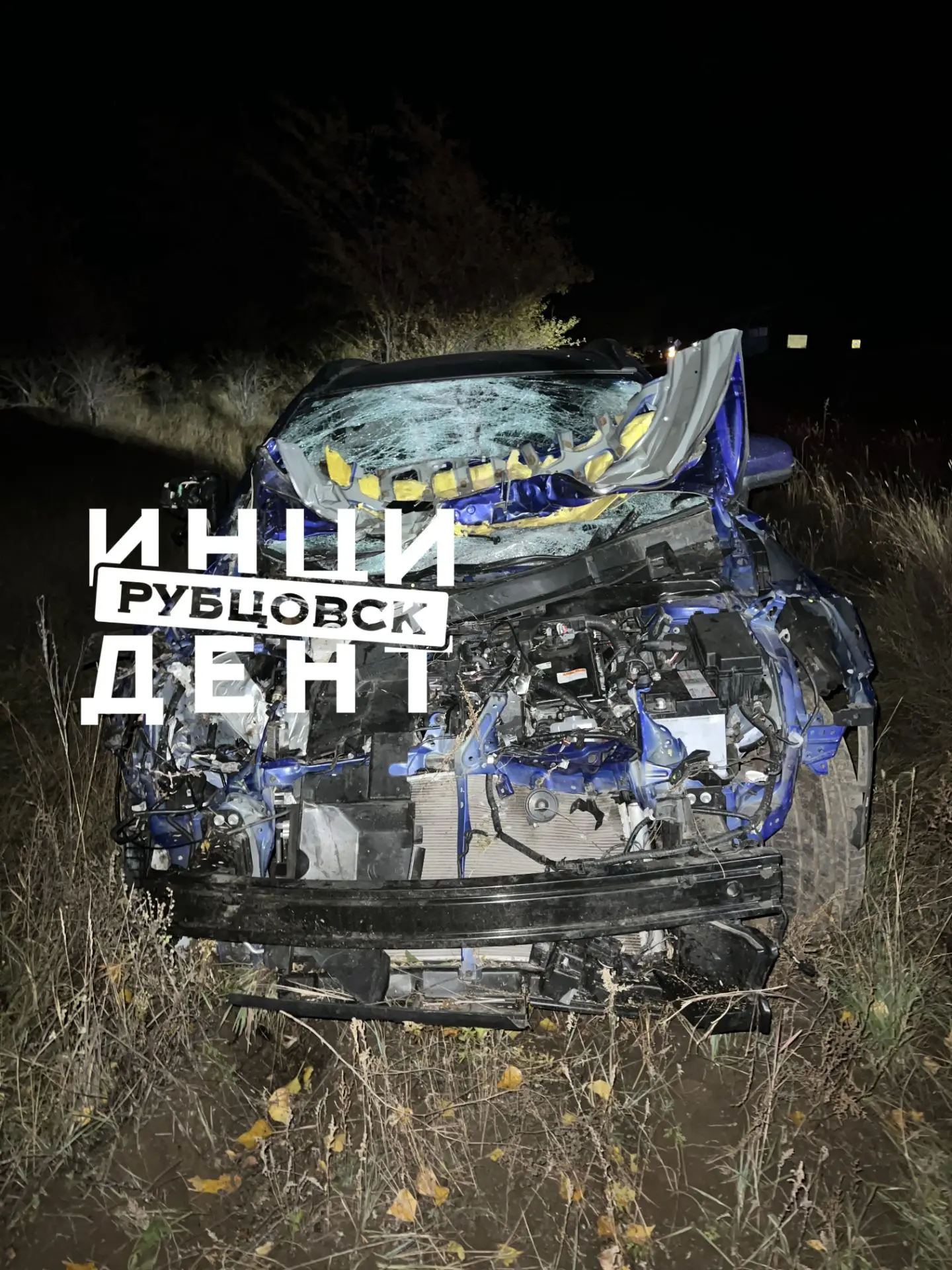 ❗В Рубцовске произошло ДТП с наездом на крупный рогатый скот