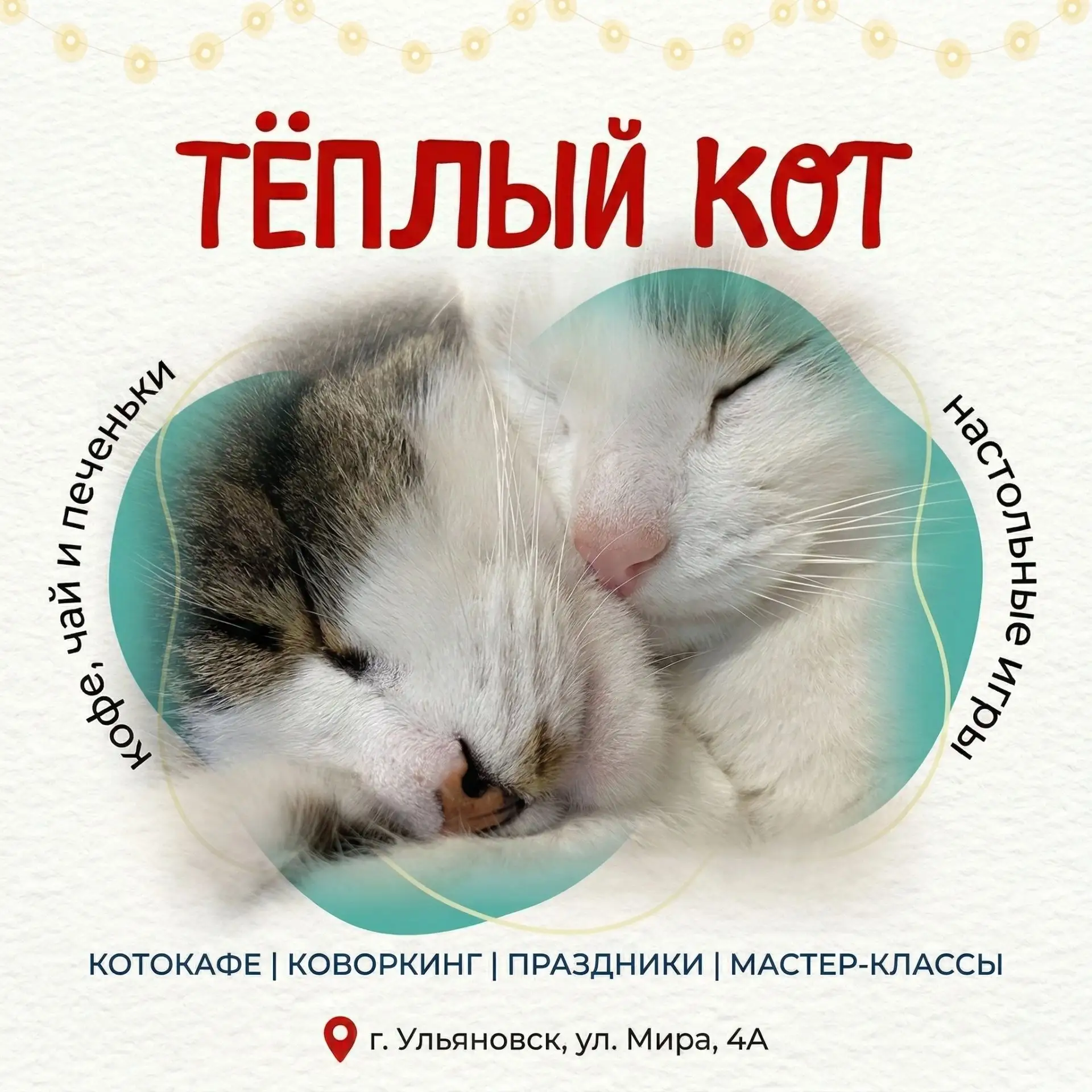 Котокафе «Тёплый кот» - это уникальный клуб, объединяющий кофейню, арт-пространство и м...