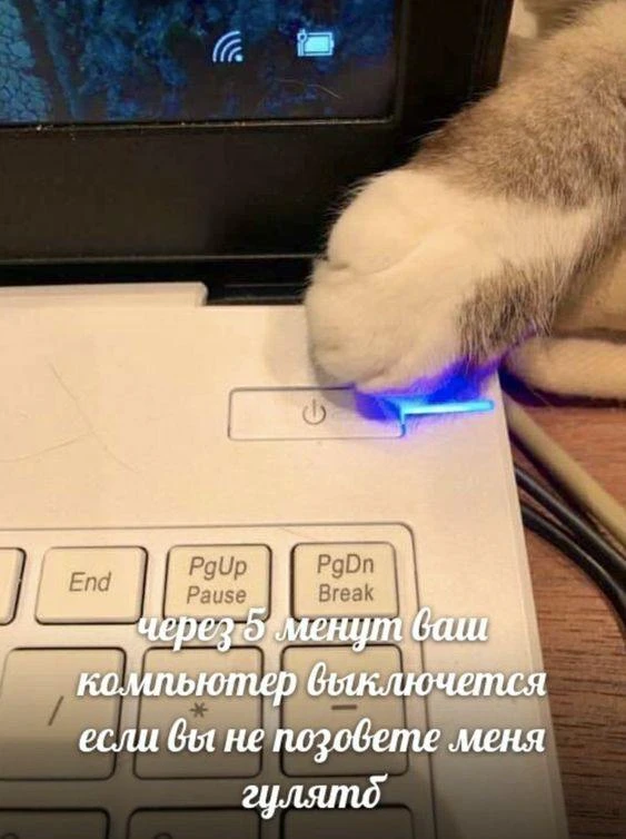 Мемы каждый день • Подписаться