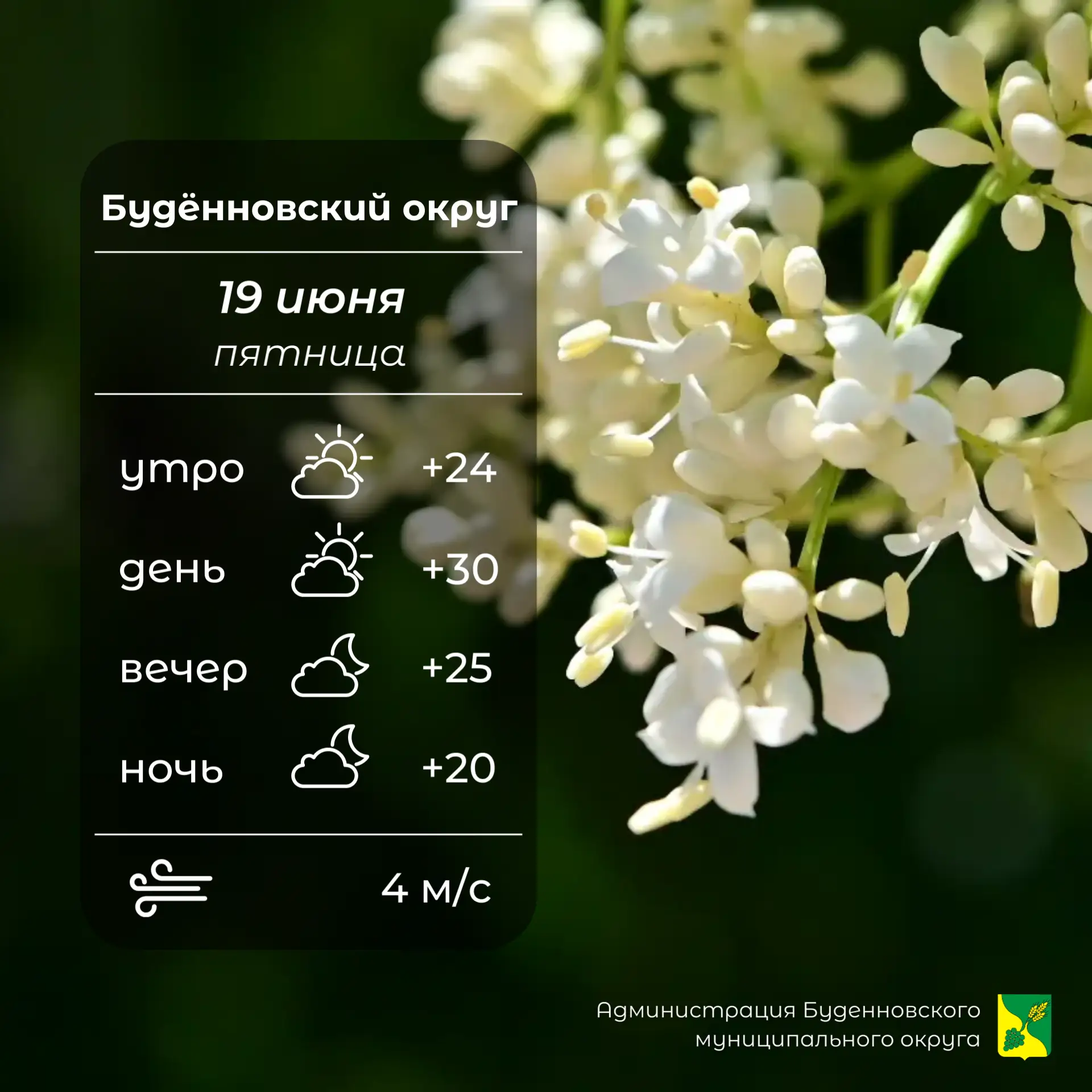 ⛅Сегодня в Буденновском округе переменная облачность, без осадков. Температура воздуха +20…⁠+30°. Ве