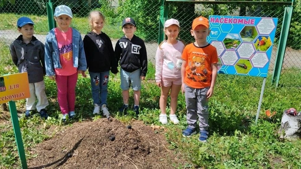 🌿Экологическая тропа в детском саду- это средство формирования у воспитанников экологической культу