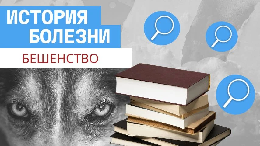 История болезни. Бешенство