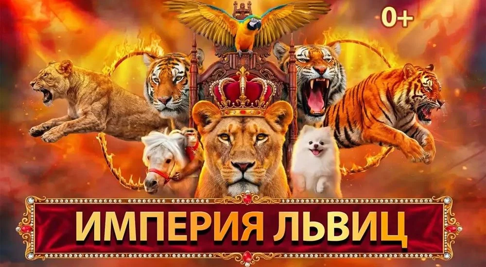 ✨ Дорогие родители, коллеги и гости нашего канала! ✨

ХИЩНИКИ В НОВОСИБИРСКЕ!!!

С 1️⃣2️⃣ июня в Нов