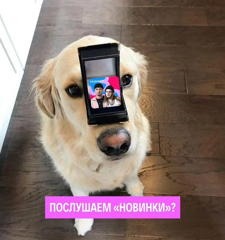 На ваш телефон пришло новое сообщение, посмотрите — вдруг там что-то важное!