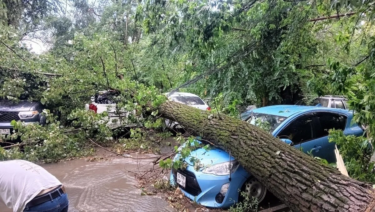 🌳 По всему Ростову наблюдаются последствия урагана🌧️⛈️⚡️☔️