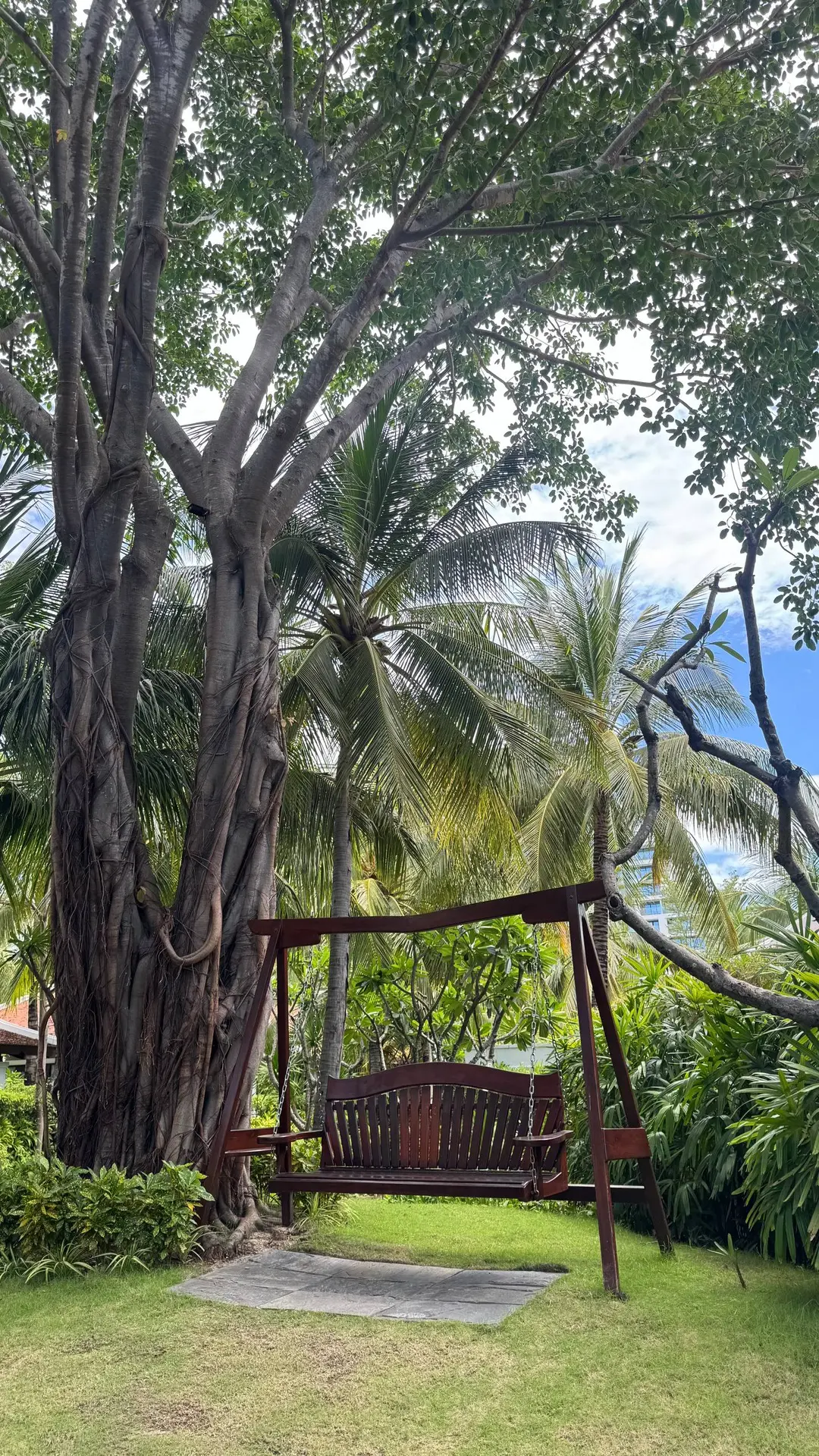 ВЬЕТНАМ 🇻🇳
