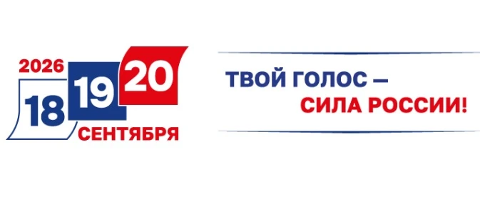 О порядке голосования в Селивановском округе