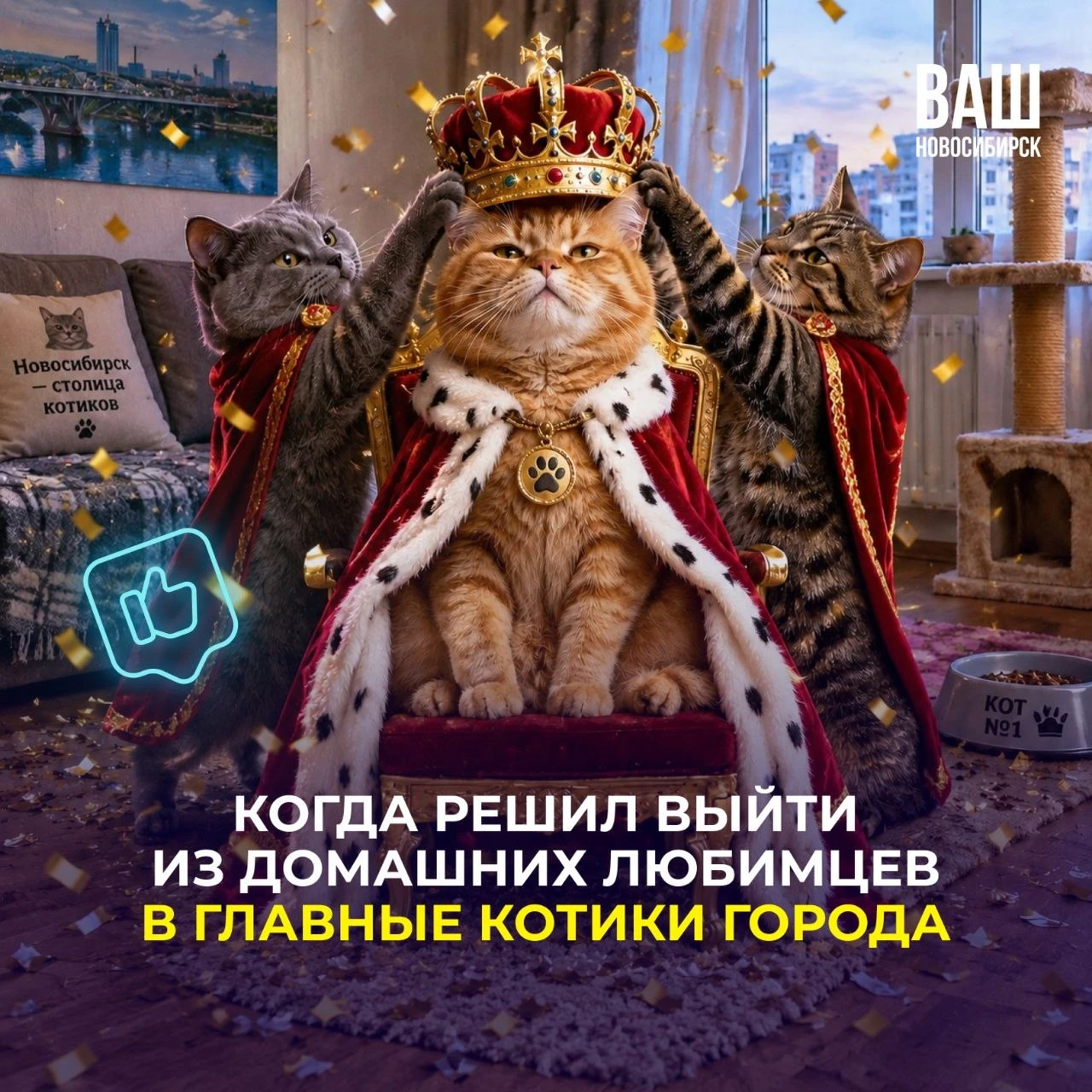 Главного домашнего котика выберут в Новосибирске