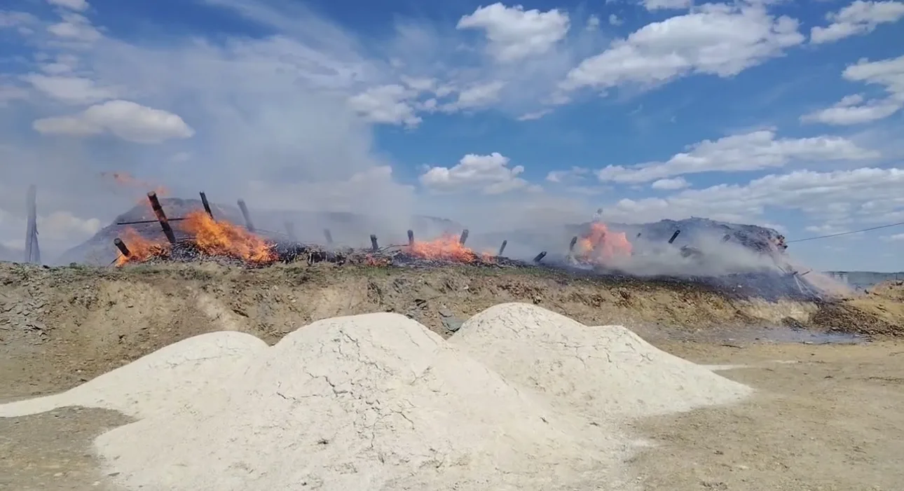Друзья, сегодня нам удалось быстро справиться с серьёзной опасностью.