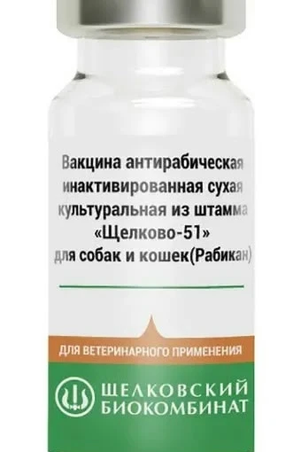 Бешенство — это не просто опасная болезнь, это гарантированная смерть (100% летальность...