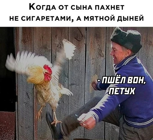 В Татарстане готовят пятилетний запрет на вейпы