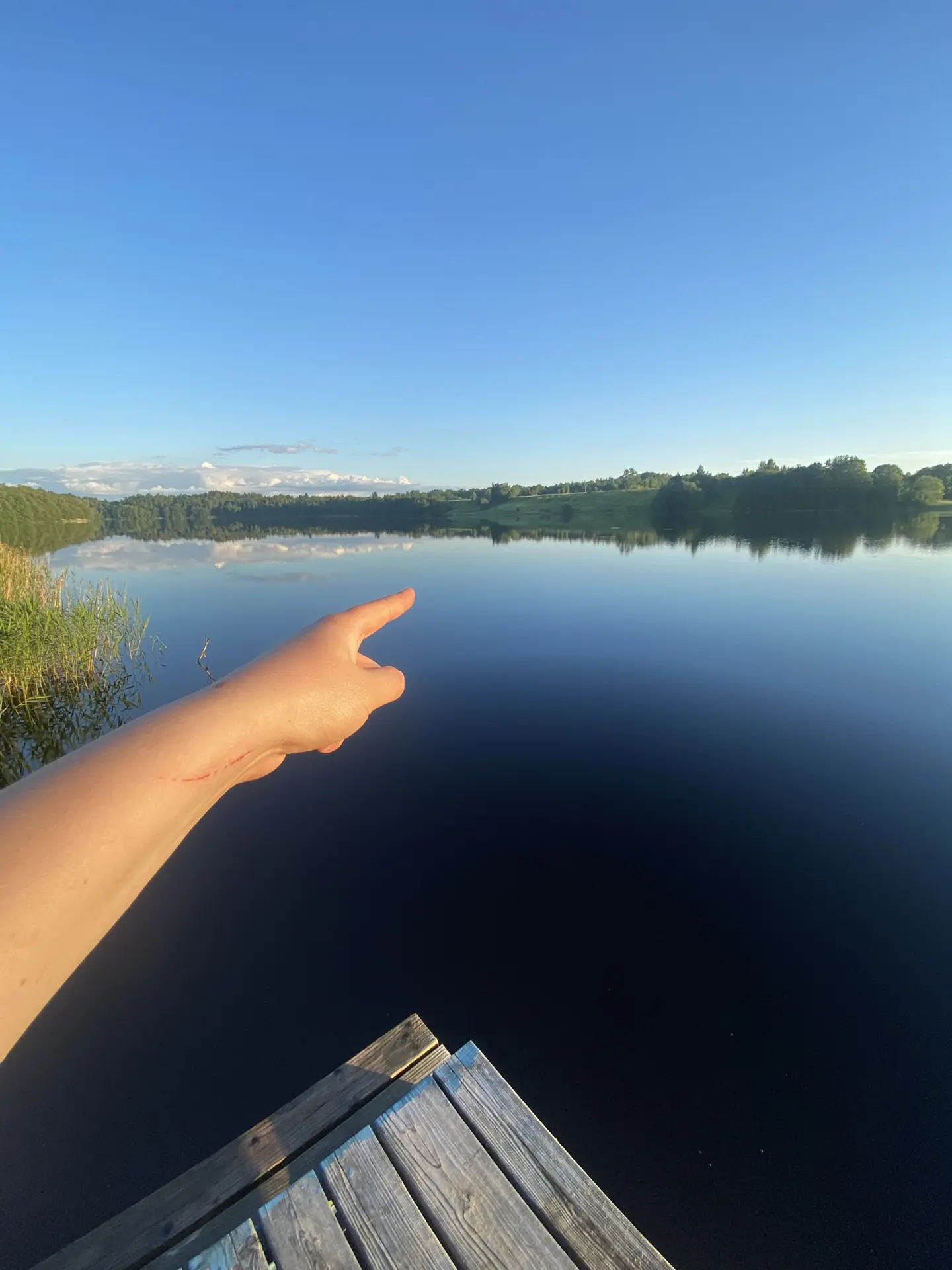 🏊 Проплыл баттерфляем до того берега и обратно, жалко весов нет, наверное уже 113

@hockeystigg