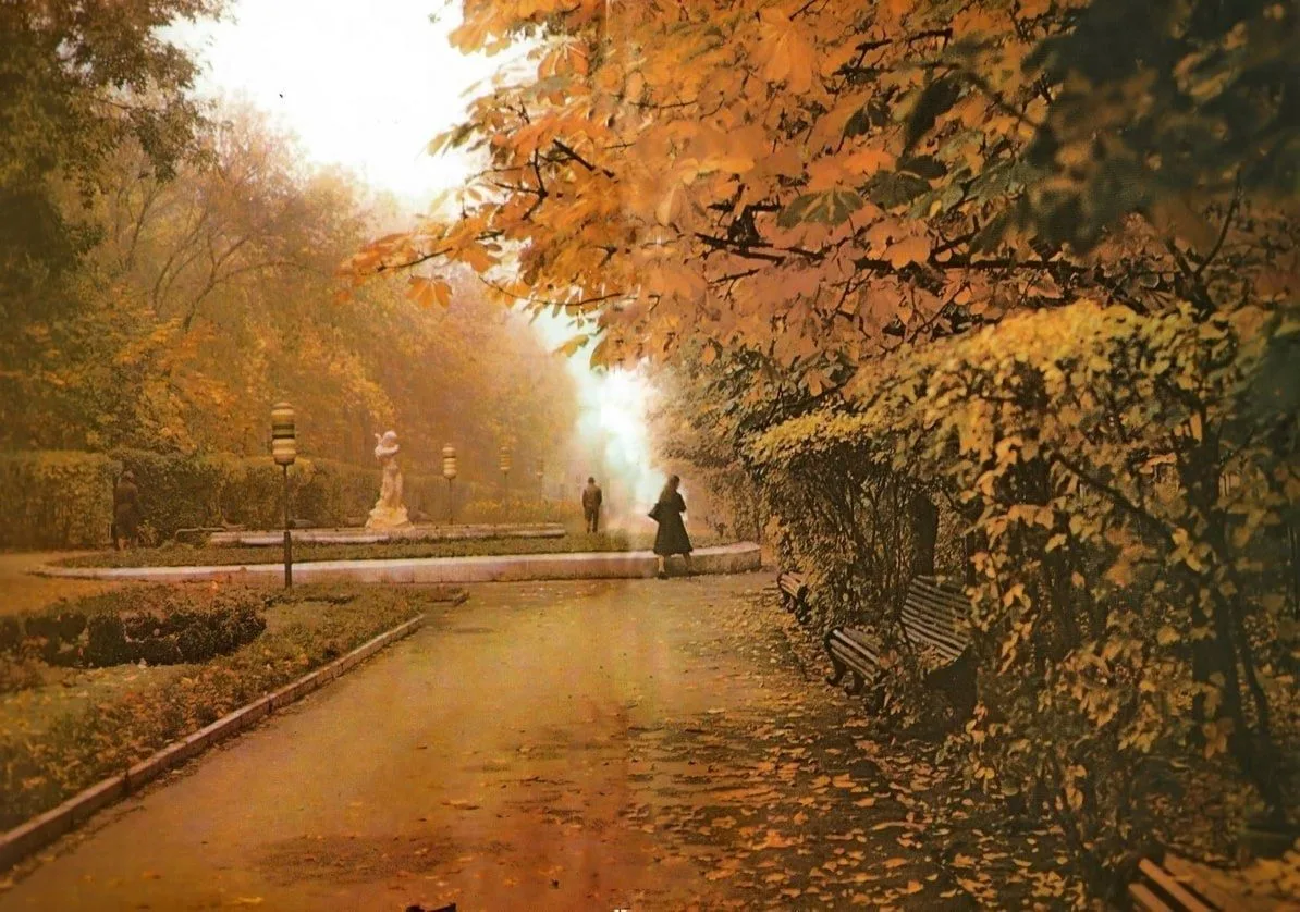 🍂 Осень на Стометровке