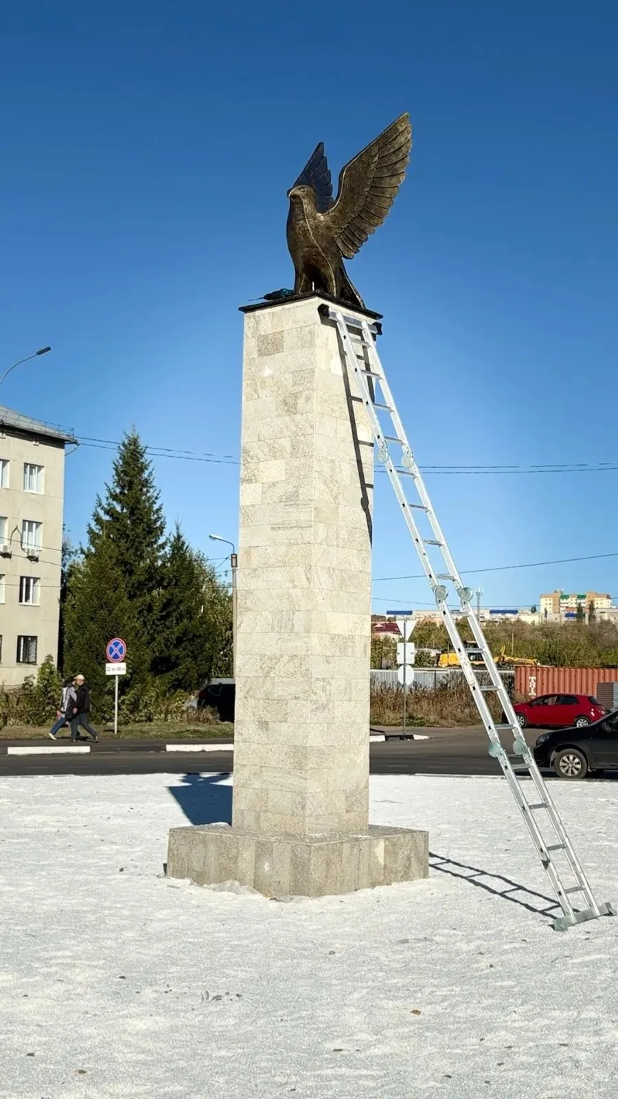 В городе Башкирии установили памятник сапсану
