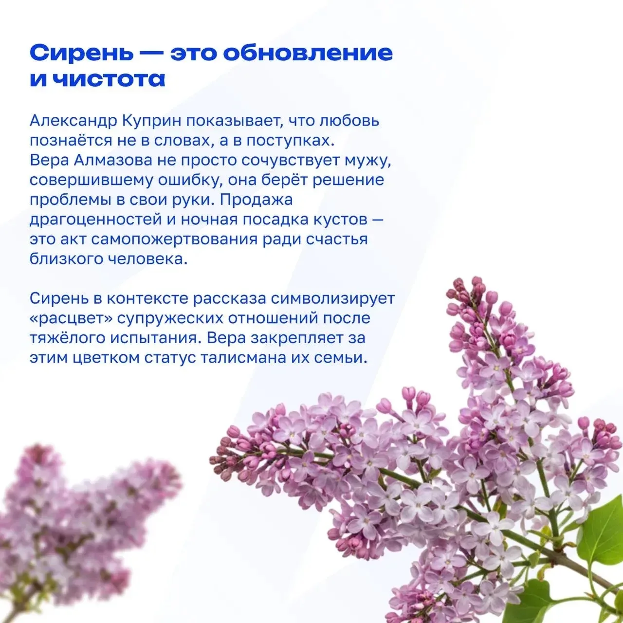 🌷Любовь земли и прелесть года,  Весна благоухает нам!.. (Фёдор Тютчев)  Скоро природа проснётся от з