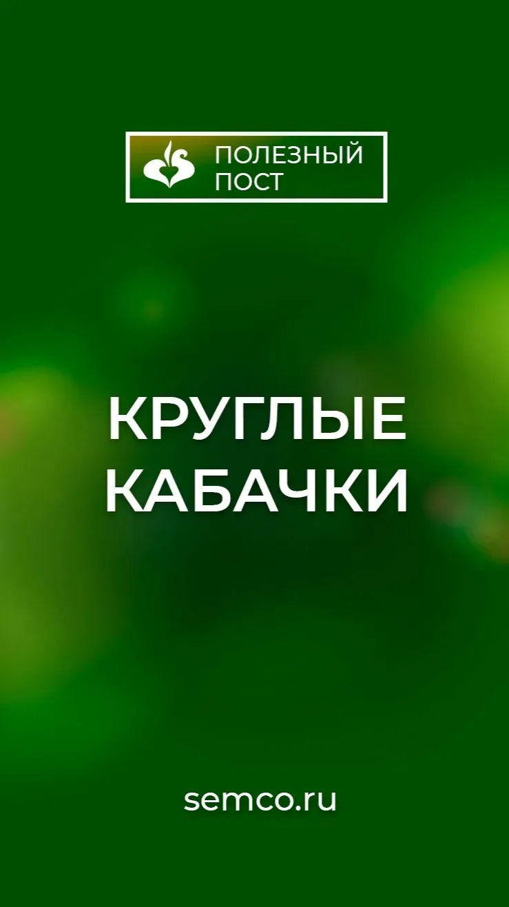 Круглые кабачки.  ✨ Ваш огород будет самым аппетитным этим летом! Откройте мир круглых кабачков, соз