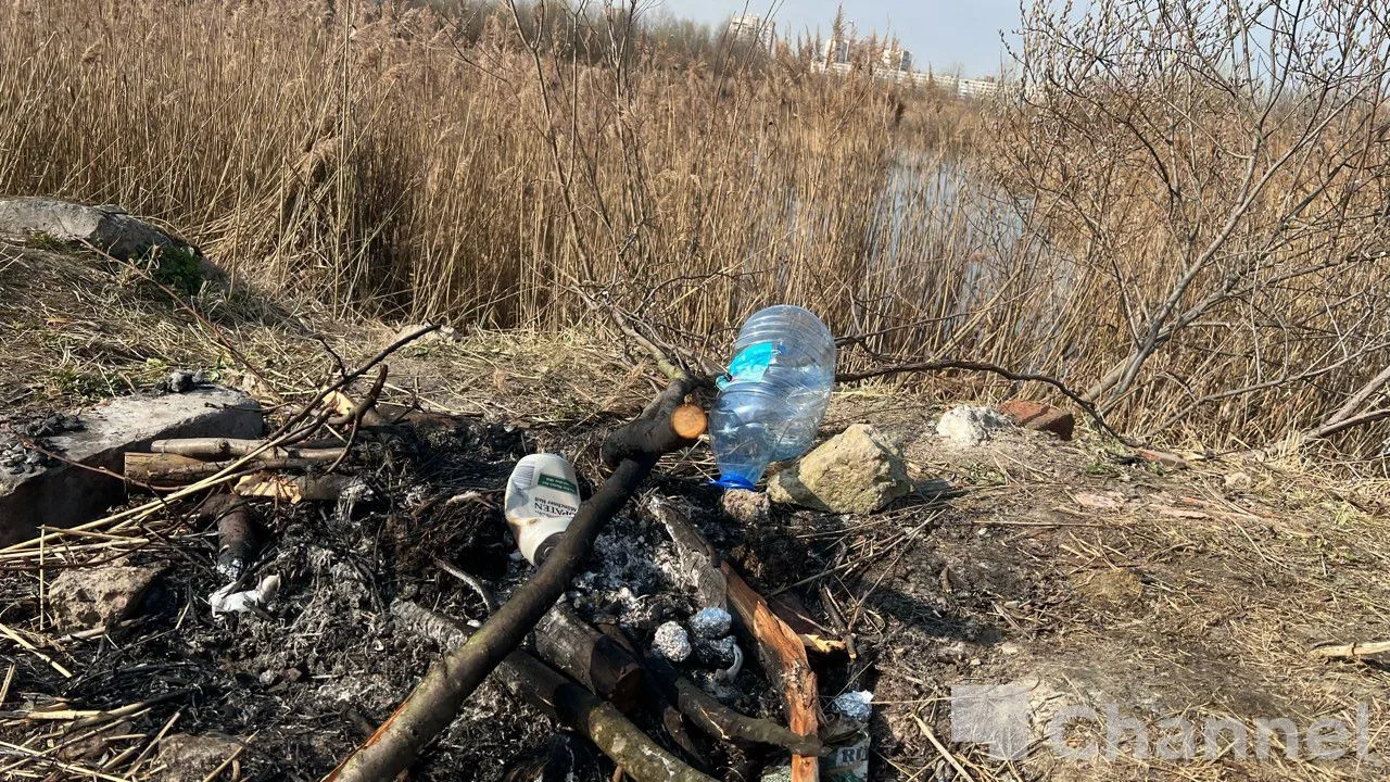 В Кудрово за последние дни несколько раз горели поля. В последний раз пожар заметили минувшей ночью 