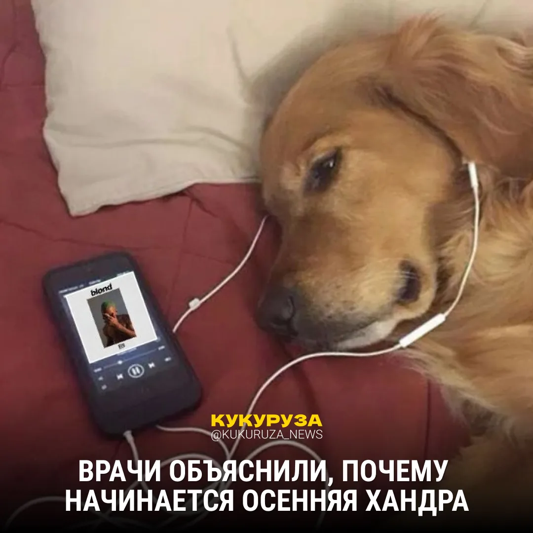 Уже начали чувствовать осеннюю хандру?