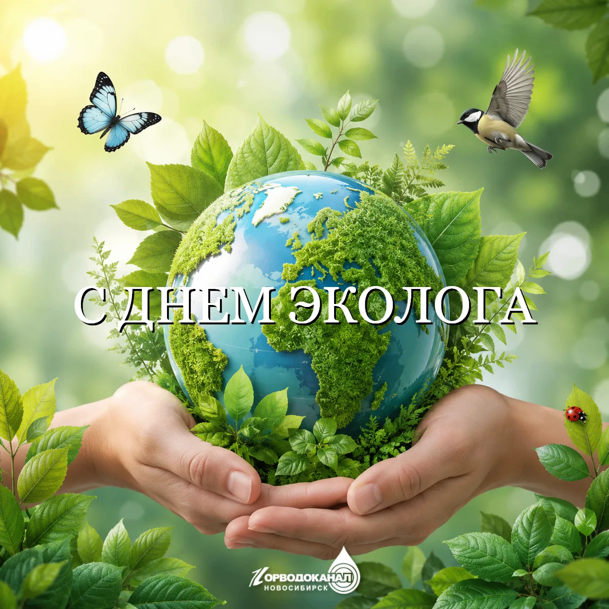 Сегодня в России отмечают День эколога — праздник всех, кто по долгу службы или по зову сердца связа