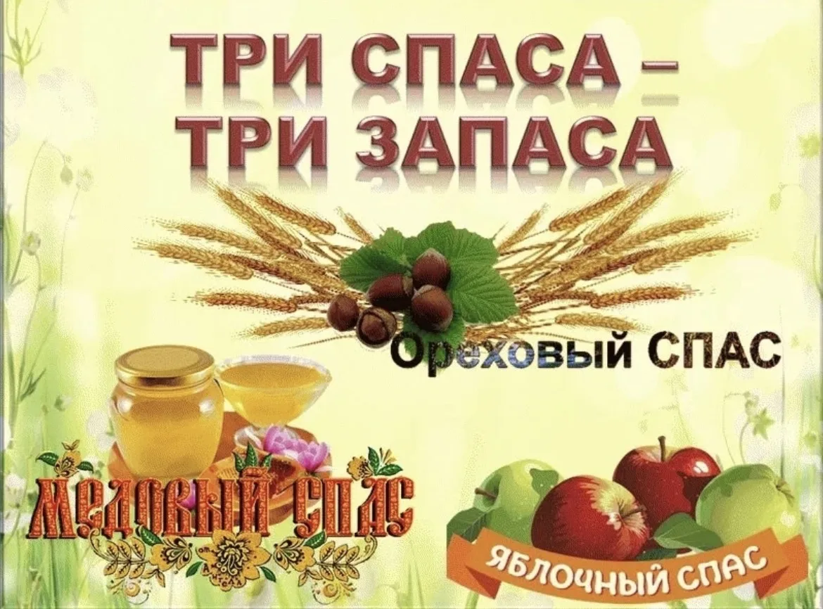 🌾 Август- месяц в календаре отмечен сразу тремя большими событиями, которые принято на...