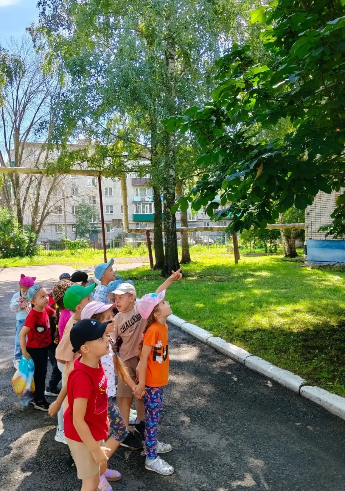 🌳Сегодня Всемирный день защиты природы🌳
В ходе познавательной беседы воспитанники узнали о многооб