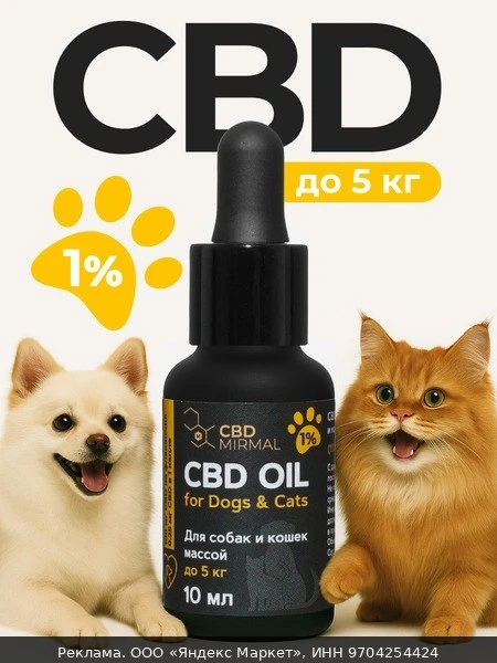 🐾Масло с CBD 1% 10мл для собак и кошек до 5кг /CBD масло 10 мл 100 мг / CBD oil / масл...