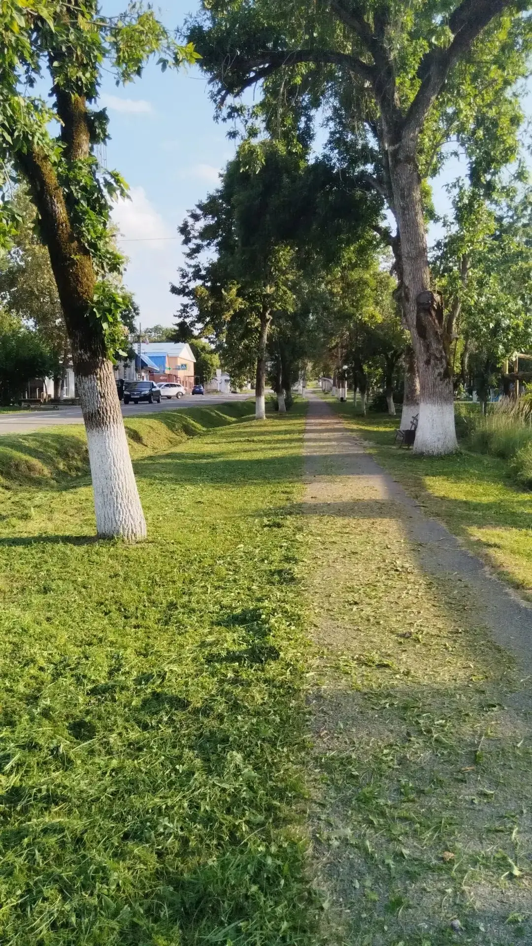 В нашем поселении продолжаются активные санитарные работы, направленные на улучшение вн...