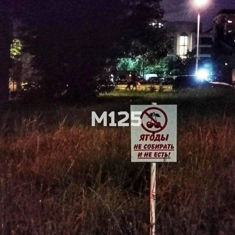 Ну на варенье хотя бы можно? 🙏