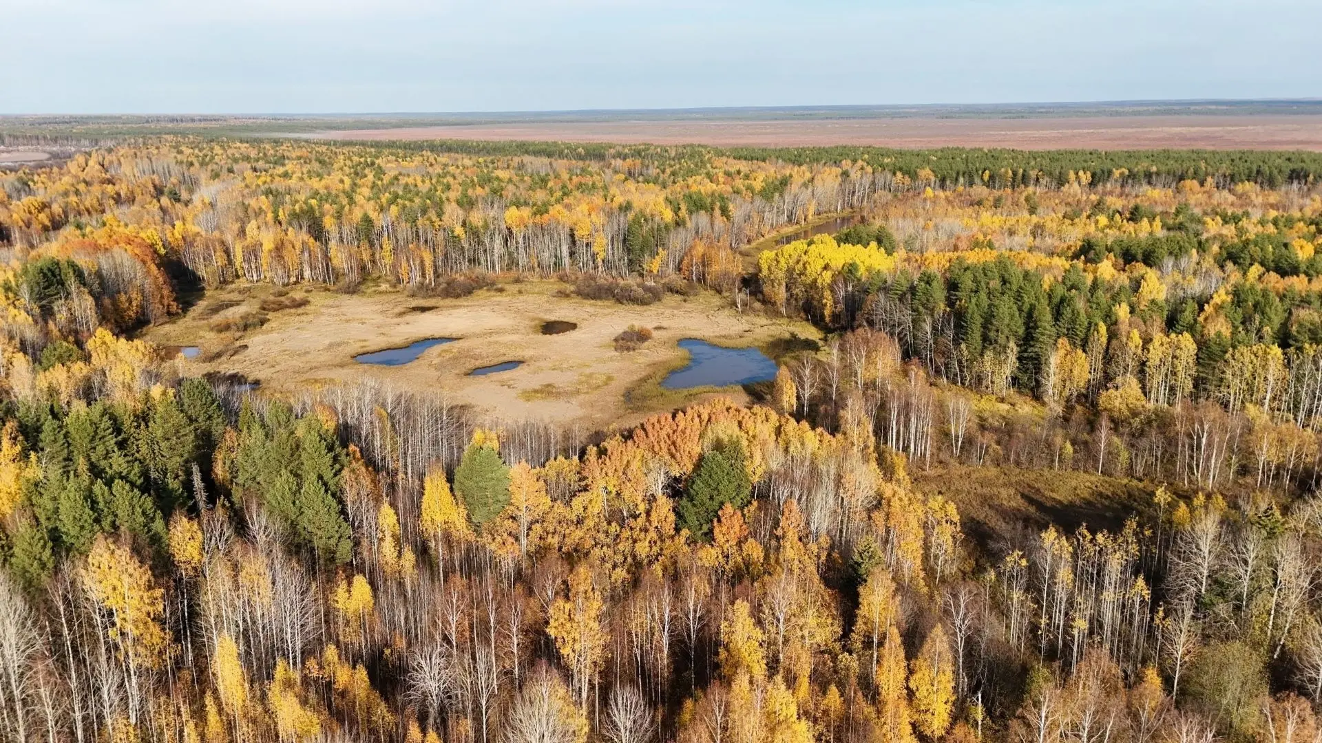 Северная осень 🤩🍁