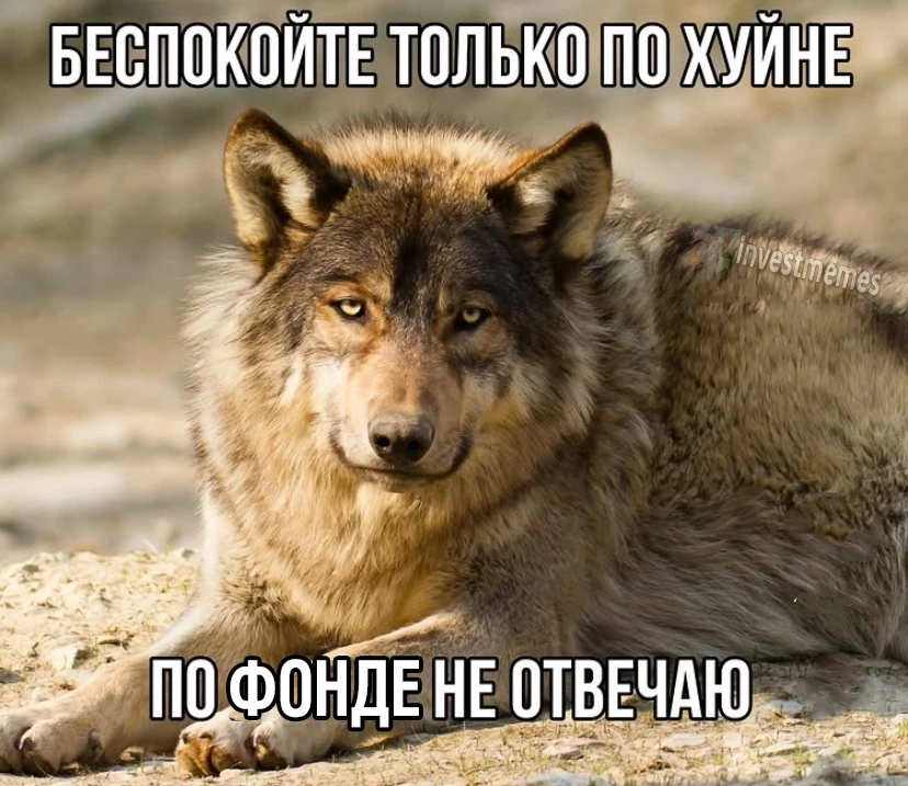 Сделал вам аву для отпуска и дэй офф