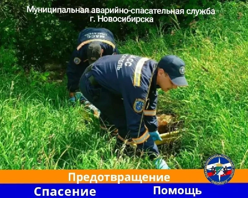 В Новосибирске из оврага спасатели извлекли наркоманов