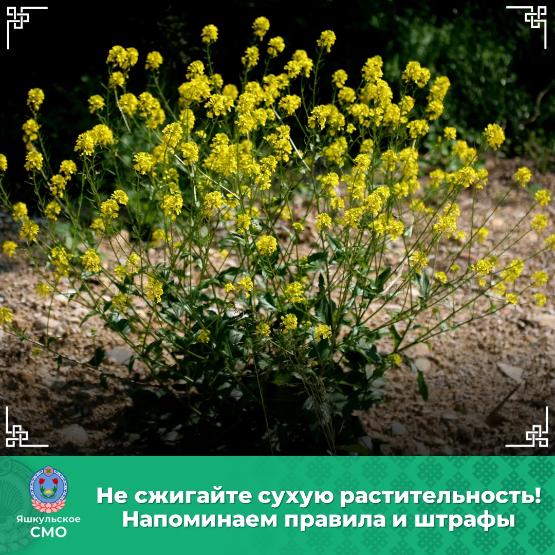 ⚠ Уважаемые жители!
