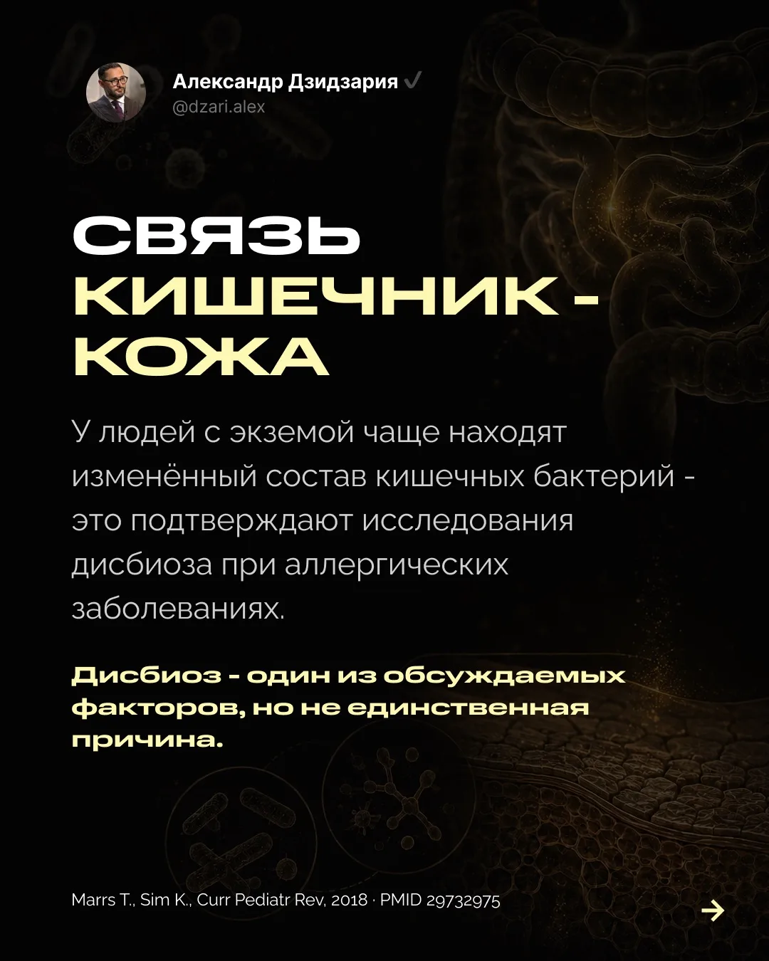 Изображение 2 к публикации «Александр Дзидзария»