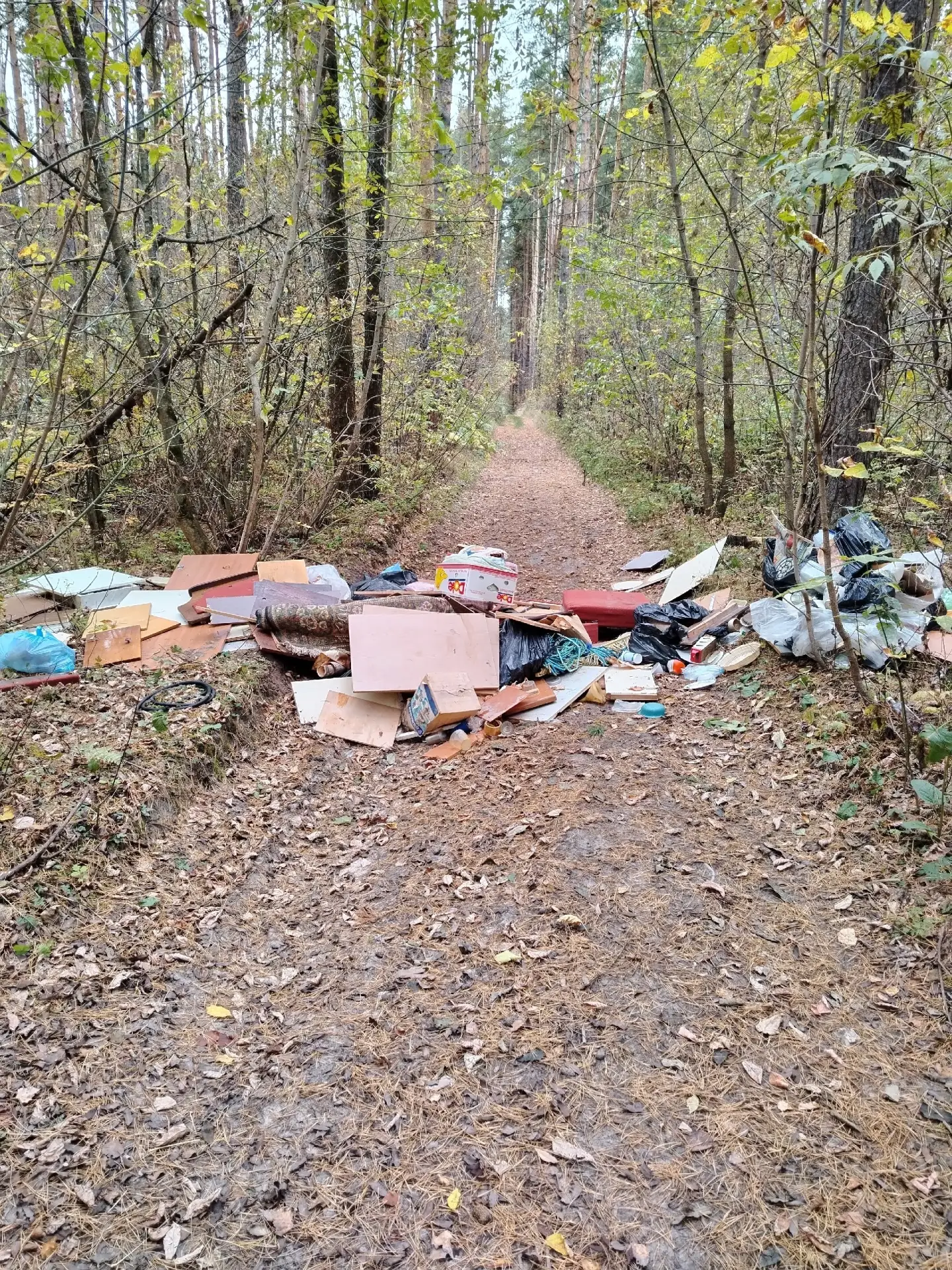 Полтора месяца назад на этой же лесной дороге (первый поворот с  тереньковского моста в...